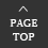 PAGE TOP