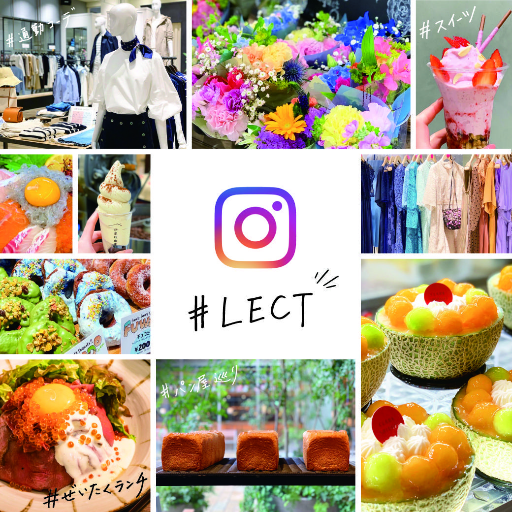 LECT-インスタグラム--square-