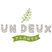 UN DEUX PLANTS